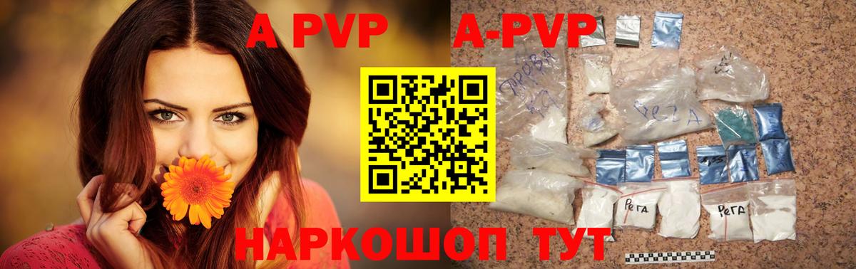Alfa_PVP СК КРИС Мурманск