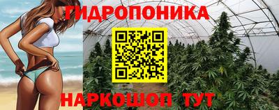 стаф Волжск